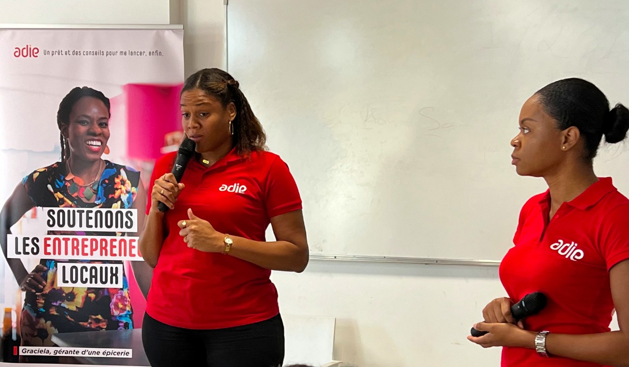 Plan local insertion emploi CACEM martinique creation entreprise et accompagnement porteurs de projet