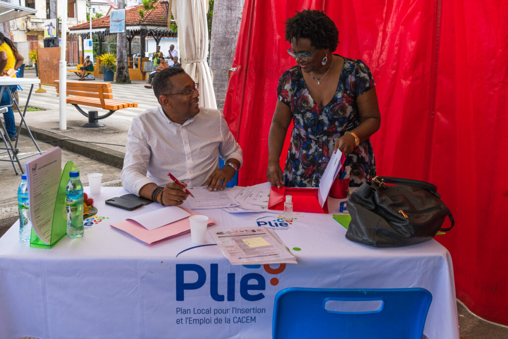 REPERAGE INSERTION PLIE CACEM