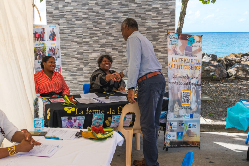 plan local insertion emploi cacem